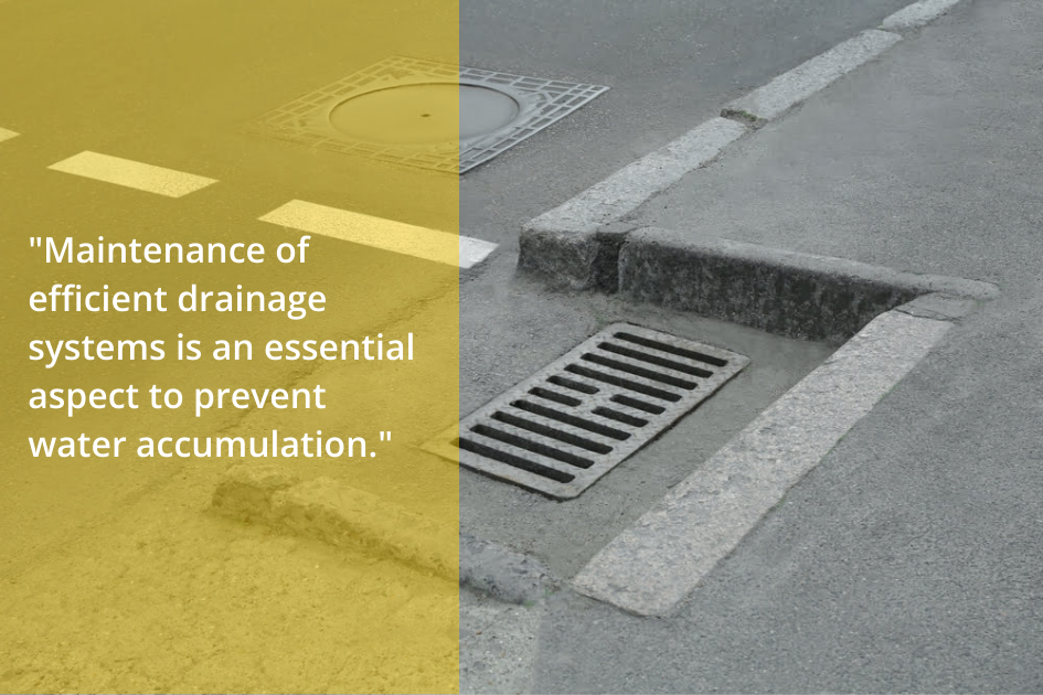 Urban street featuring well-integrated drainage grates to manage water runoff, complemented by durable asphalt paving.