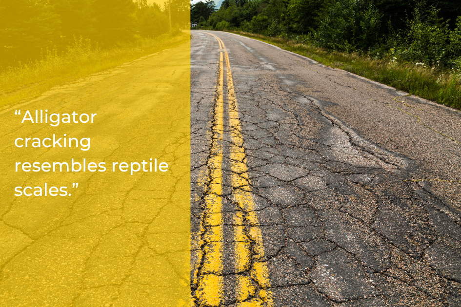 Cracked asphalt road with yellow lines and visible alligator cracking in a commercial lot; quote overlay explains the similarity to reptile scales and highlights the need for asphalt resurfacing.